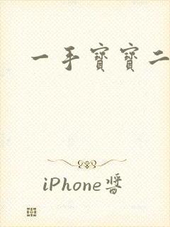 一手宝宝二手妻