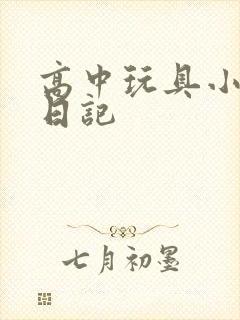 高中玩具小诗的日记