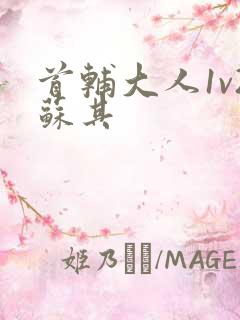 首辅大人1v2苏其