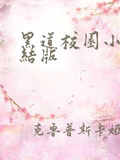 黑道校园小说完结版