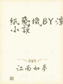 纸飞机BY潭石小说