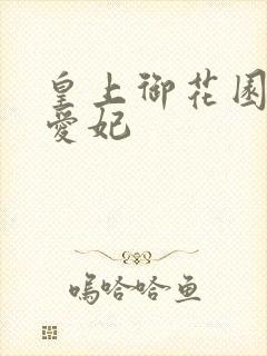 皇上御花园中要爱妃