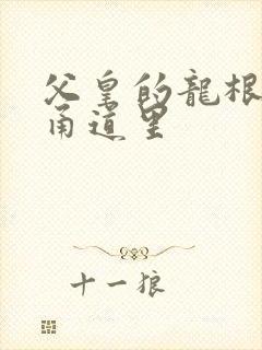 父皇的龙根在我甬道里