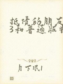 抵债的朋友麦子3和普通版对比