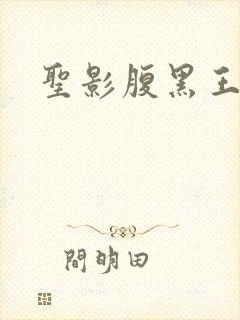 圣影腹黑王子帮