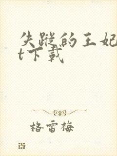 失踪的王妃txt下载