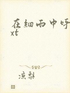 在细雨中呼喊txt