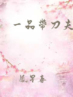 一品带刀夫人