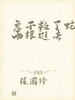 兔子救了蛇被蛇两根进去