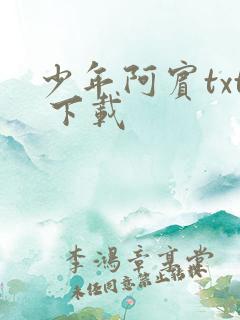 少年阿宾txt 下载