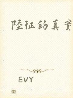 陆征的真实身份