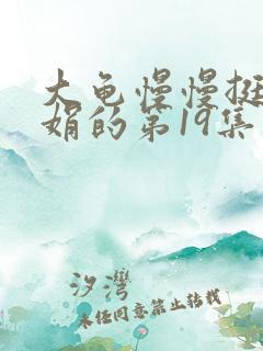 大龟慢慢挺进张娟的第19集