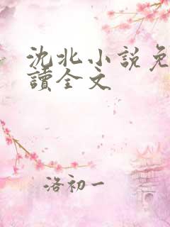 沈北小说免费阅读全文