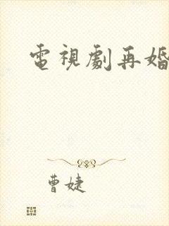 电视剧再婚家庭