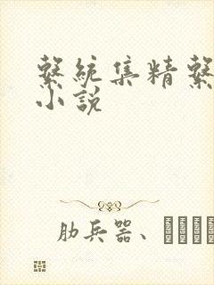 系统集精系统 小说