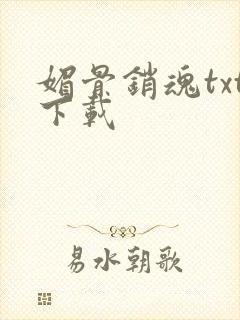 媚骨销魂txt下载