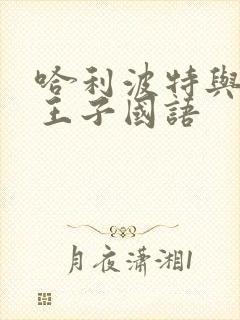 哈利波特与混血王子国语