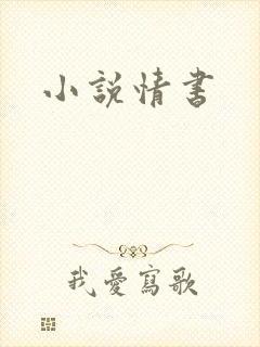 小说情书