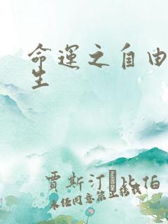 命运之自由的新生