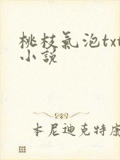 桃枝气泡txt小说