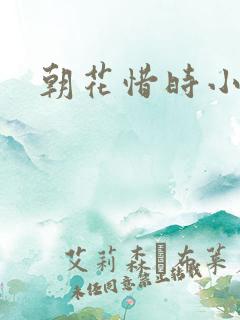 朝花惜时小说