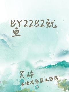 BY2282鱿鱼