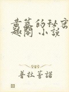 黄蓉的秘密 笔趣阁 小说