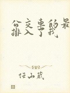 公交车的最后一排入了我