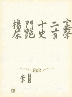 杨门十二寡妇肉床艳史有声小说