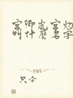 宫卿岚宫灼小说叫什么名字