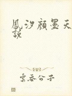 凤汐颜墨天问小说
