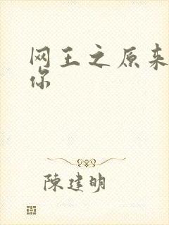 网王之原来我爱你