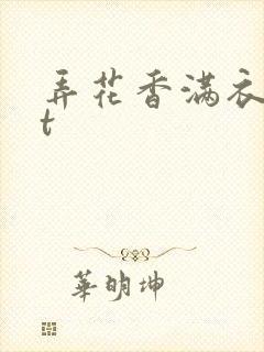 弄花香满衣txt