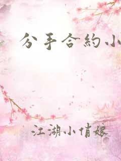 分手合约小说
