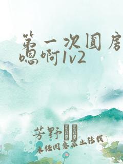 第一次圆房～h嗯啊1v2