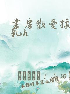 书房欢爱揉捏娇乳h