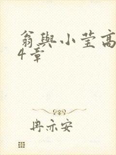 翁与小莹高潮24章