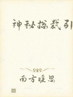 神秘总裁引入怀