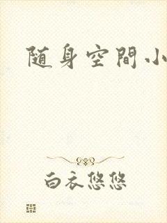随身空间小说