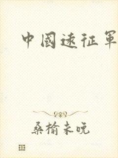 中国远征军下载