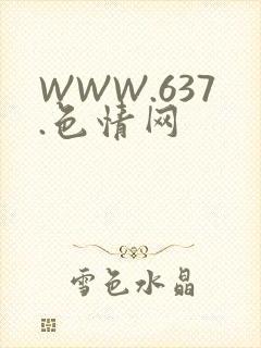 WWW.637.色情网