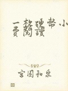 一枚硬币小说免费阅读