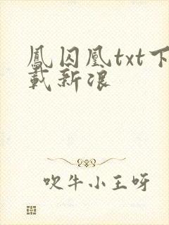 凤囚凰txt下载新浪