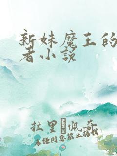 新妹魔王的契约者小说