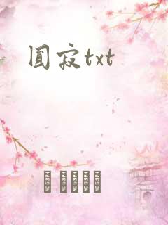 圆寂txt