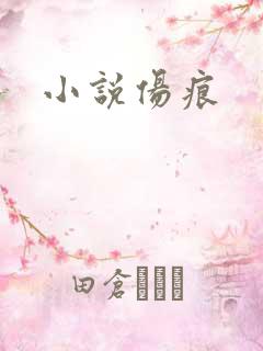 小说伤痕