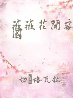 薇薇花开容颜倾国