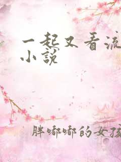 一起又看流星雨小说