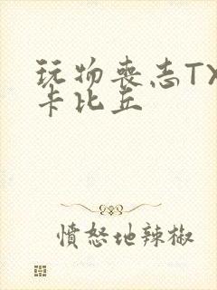 玩物丧志TXT卡比丘