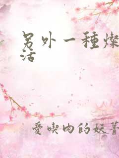 另外一种灿烂生活